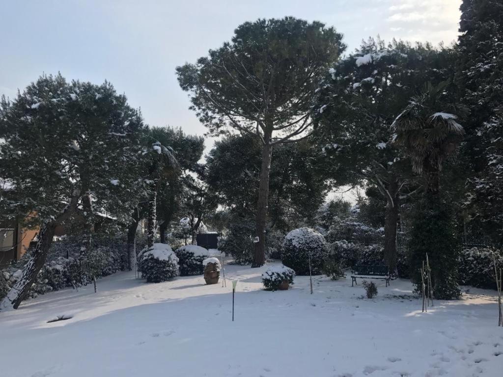 Ilpoggetto Bed&Breakfast Civitanova Marche Zewnętrze zdjęcie